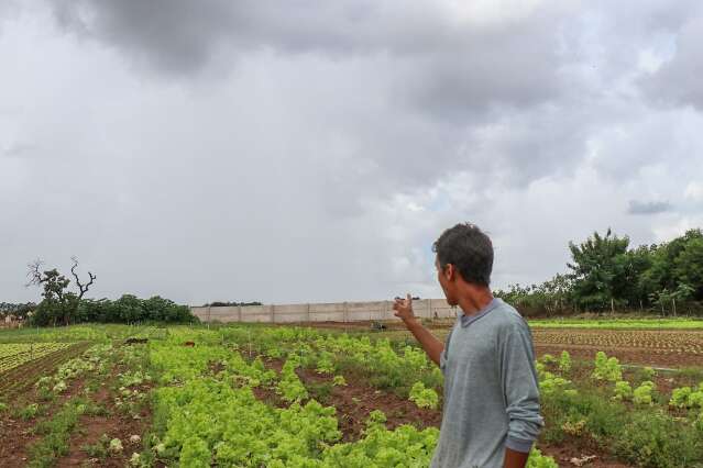 Temporada recorde de chuvas em Campo Grande prejudica hortifr&uacute;tis