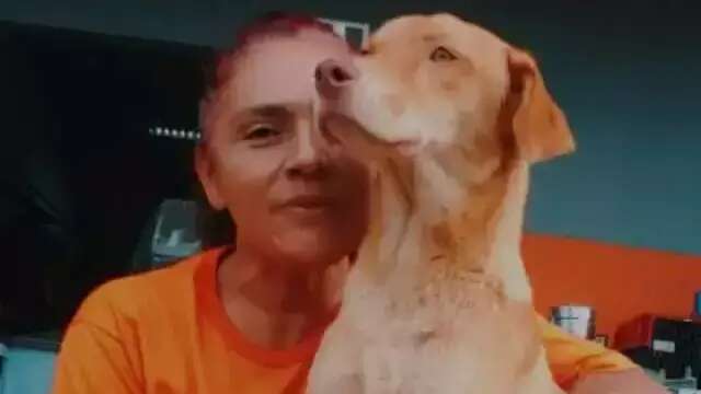 C&atilde;o her&oacute;i, Victor pula nas costas de assaltante e salva mulher no Noroeste