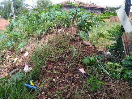 Há 1 ano sem limpeza, terreno acumula lixo e incomoda vizinhos do Nova Lima