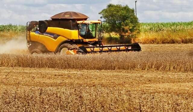 Produ&ccedil;&atilde;o agr&iacute;cola aumenta e pode superar 70 milh&otilde;es de toneladas