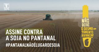 Divulgação da petição do SOS Pantanal contra o plantio de soja na maior planície alagada do mundo. (Foto: SOS Pantanal)