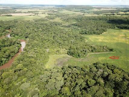 Assentado é multado em R$ 20 mil por lavoura em área protegida