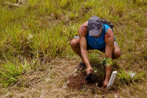 Voluntários participam de plantio que trará 5 mil árvores para córrego