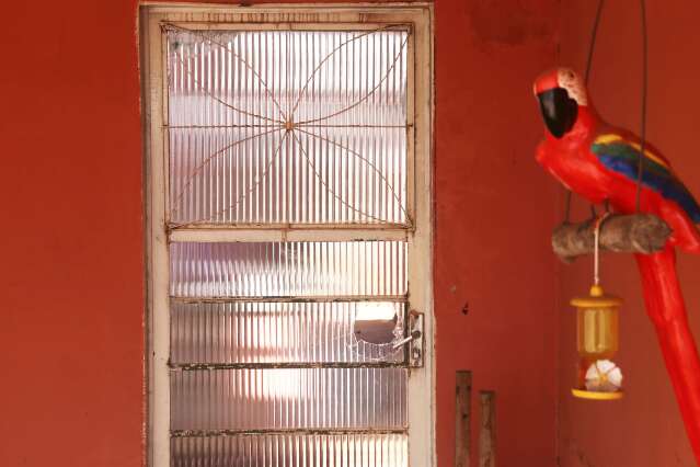 Idosa Resgatada De Casa Sem Gua E Comida Monitorada Por Assistentes