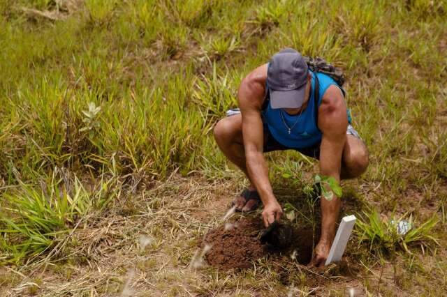 Volunt&aacute;rios participam de plantio que trar&aacute; 5 mil &aacute;rvores para c&oacute;rrego