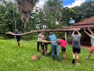 Visitantes se divertem no engenho moendo cana. (Foto: Arquivo pessoal)