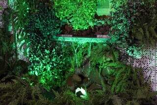 Espaço tem fonte com cascata rodeada de plantas. (Foto: Juliano Almeida)