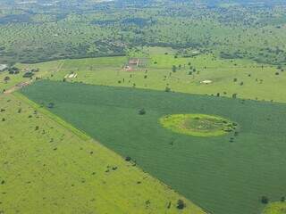 Plantação de soja na planície pantaneira, no município de Aquidauana.(Foto: SOS Pantanal)