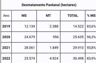 Média de desmate do Pantanal é de 90%. (Fonte: MapBiomas)