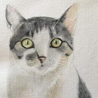 Tons suaves retratam aquarela de gato com olhos verdes. (Foto: Arquivo pessoal)