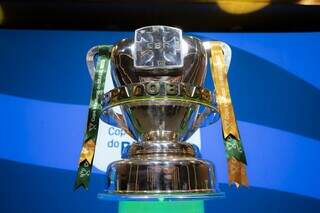 Taça da Copa do Brasil que será entregue ao campeão no fim do ano (Foto: CBF)