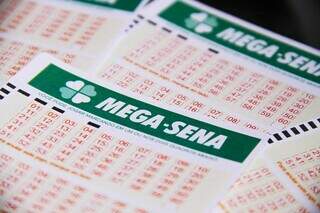 Canhoto de apostas da Mega-Sena. (Foto: Reprodução/Loterias Caixa)