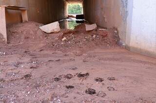 Pegada de animais em túnel &#34;passa fauna&#34; na MS-345, que liga Anastácio a Bonito. (Foto: Àlvaro Rezende)
