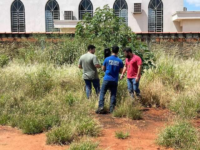 Corpo em avan&ccedil;ado estado de decomposi&ccedil;&atilde;o &eacute; encontrado em terreno baldio