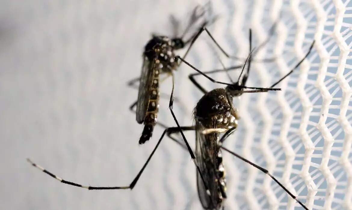 Governo intensifica ações de combate ao Aedes aegypti em MS