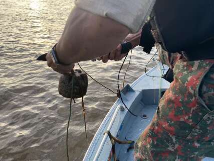 Pescador é multado em R$ 1 mil por pesca ilegal no Rio Paraná