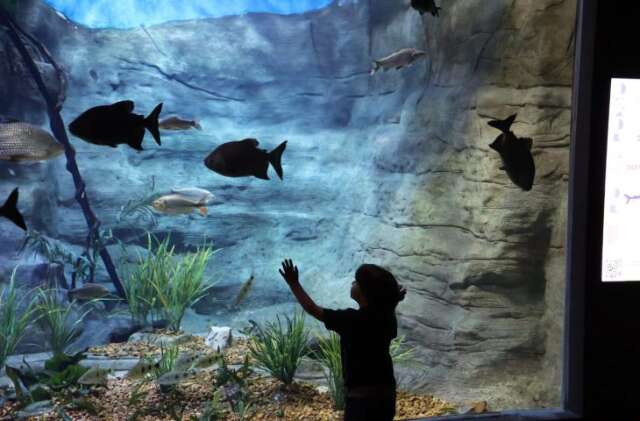 Em parceria com associa&ccedil;&atilde;o, Bioparque tem visita&ccedil;&atilde;o para crian&ccedil;as com autismo