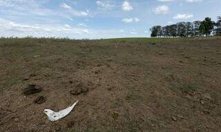 Solo de área utilizada para agropecuária. (Foto: Fábio Pozzebom/Agência Brasil)