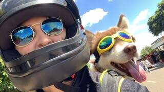 Pyetra Angerames de Oliveira Vargas e a husky Sophy. (Foto: Arquivo pessoal)