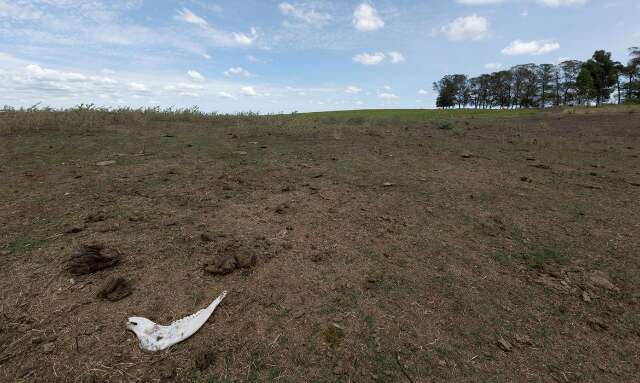 Governo lan&ccedil;a plataforma para identificar vulnerabilidades clim&aacute;ticas