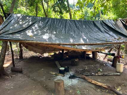 Polícia paraguaia encontra mais de 14 toneladas de maconha em acampamento