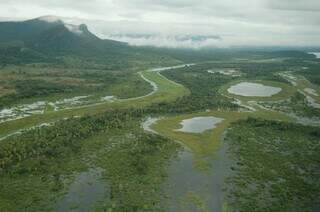 Região alagada do Pantanal sul-mato-grossense. (Foto: André Siqueira/Ecoa)