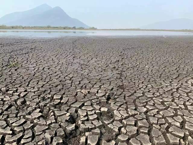 Projeto que pro&iacute;be expans&atilde;o da soja no Pantanal &eacute; arquivado na Assembleia