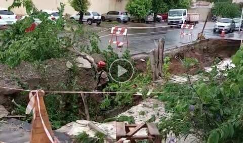 Após temporal, árvore é retirada de cratera entre calçada e rua
