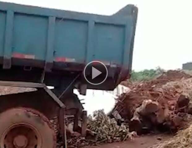 Terreno baldio em Campo Grande se torna dep&oacute;sito de lixo