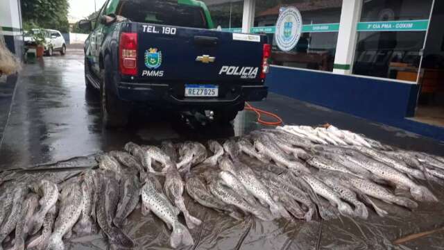 Homem &eacute; preso em flagrante com 360 quilos de pescado ilegal