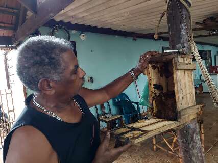 Na aposentadoria, Valdir recuperou infância para produzir mel