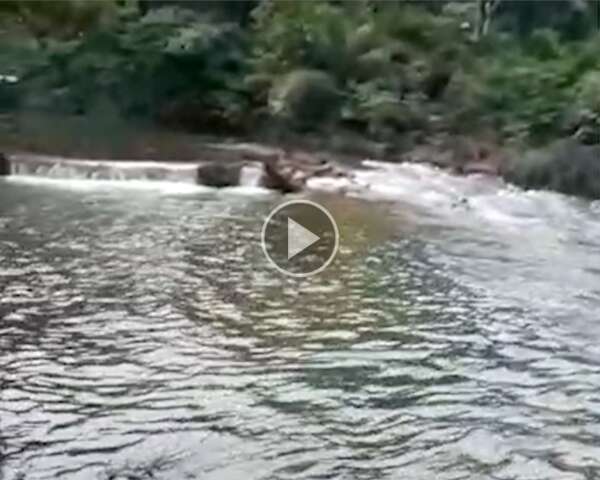Chuva forte enche Rio Formoso e interdita balne&aacute;rio em Bonito