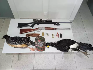 Aves ameaçadas de extinção foram encontradas mortas (Foto: Divulgação/PMA/MS)