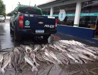 Sozinho, pescador de Coxim portava 360kg de pescado irregular (Foto: Divulgação/PMA/MS)