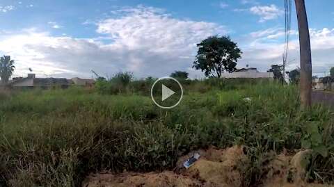 Terrenos abandonados aumentam insegurança em plena epidemia de dengue