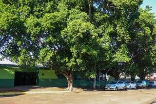Escola Dolor Ferreira de Andrade, no Maria Aparecida Pedrossia, não tinha policiamento. (Foto: Henrique Kawaminami)