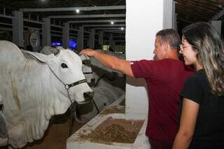 Público visitou e interagiu com gado exposto na feira. (Foto: Juliano Almeida)