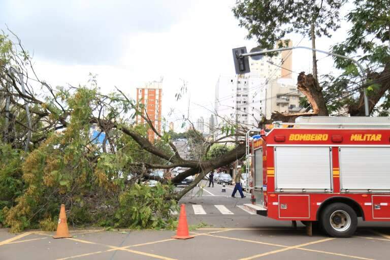 Campo Grande News