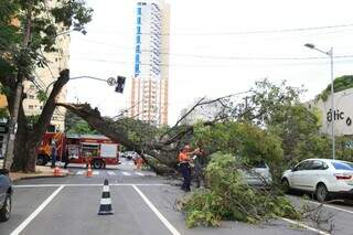 Galhos atingiram carro, semáforo e toldo de ótica em frente. (Foto: Alex Machado)