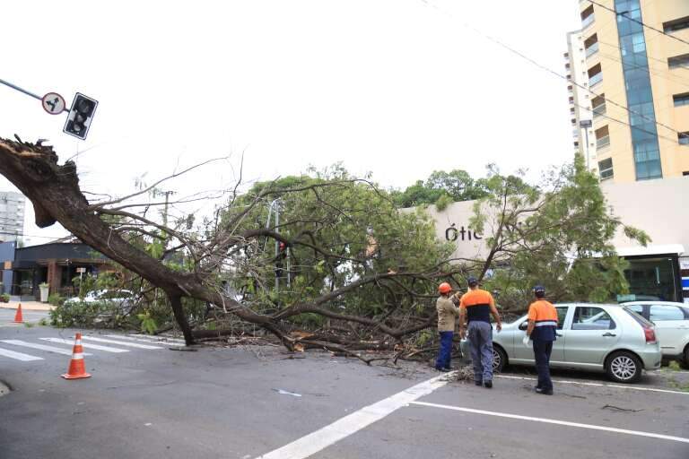 Campo Grande News