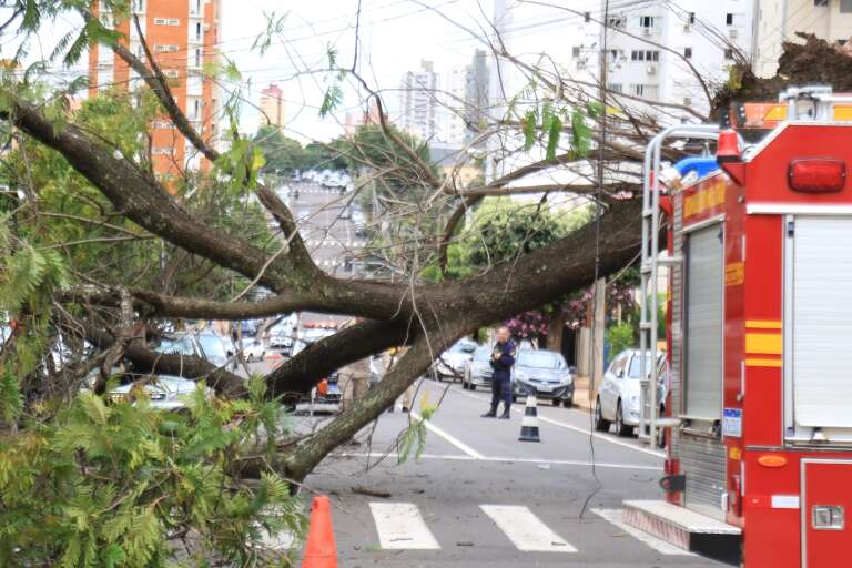 Campo Grande News