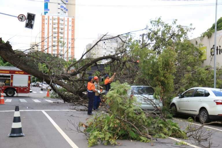 Campo Grande News