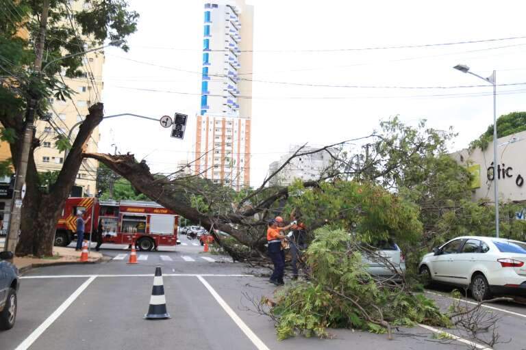 Campo Grande News