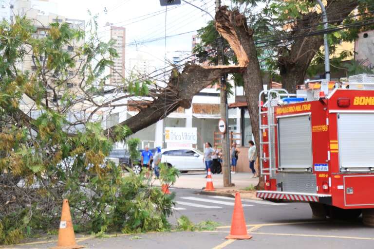 Campo Grande News