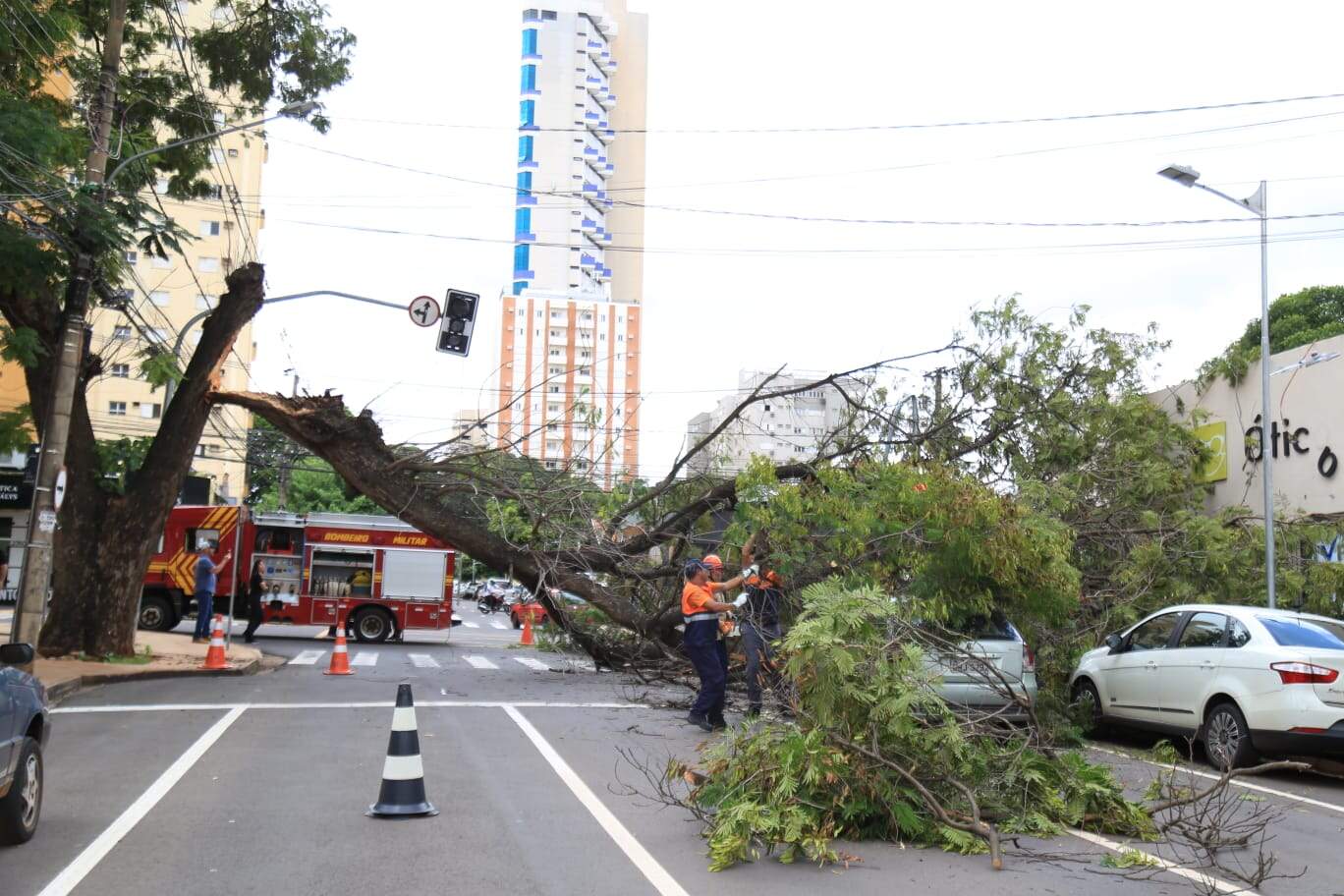 Condenada, árvore cai sobre o carro de servidora da prefeitura, semáforo e ótica