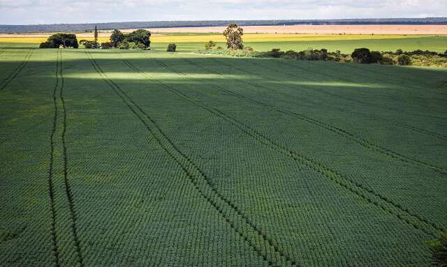 Estudo aponta desafios do seguro rural em meio a mudan&ccedil;as clim&aacute;ticas