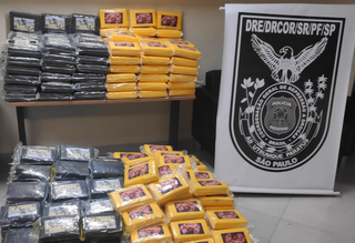Cocaína foi apreendida por uma equipe da Polícia Federal (Foto: divulgação / PF)