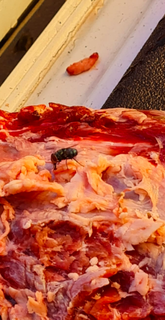 Carne com larva foi aprrendida em Porto Murtinho (Foto: divulgação /Polícia Civil) 