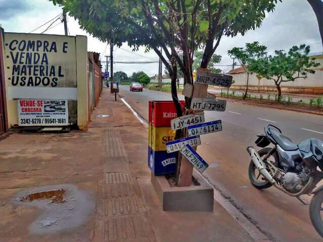 &Aacute;rvore vira &quot;achados e perdidos&quot; de placas arrancadas pela chuva