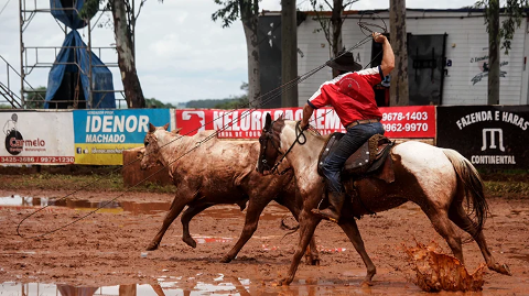 Aplicativo facilita transporte de cavalos montados em esportes equestres em MS